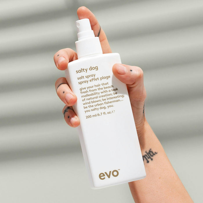 Evo Salty Dog Salty Spray and Haze Styling Powder Duo Bundle